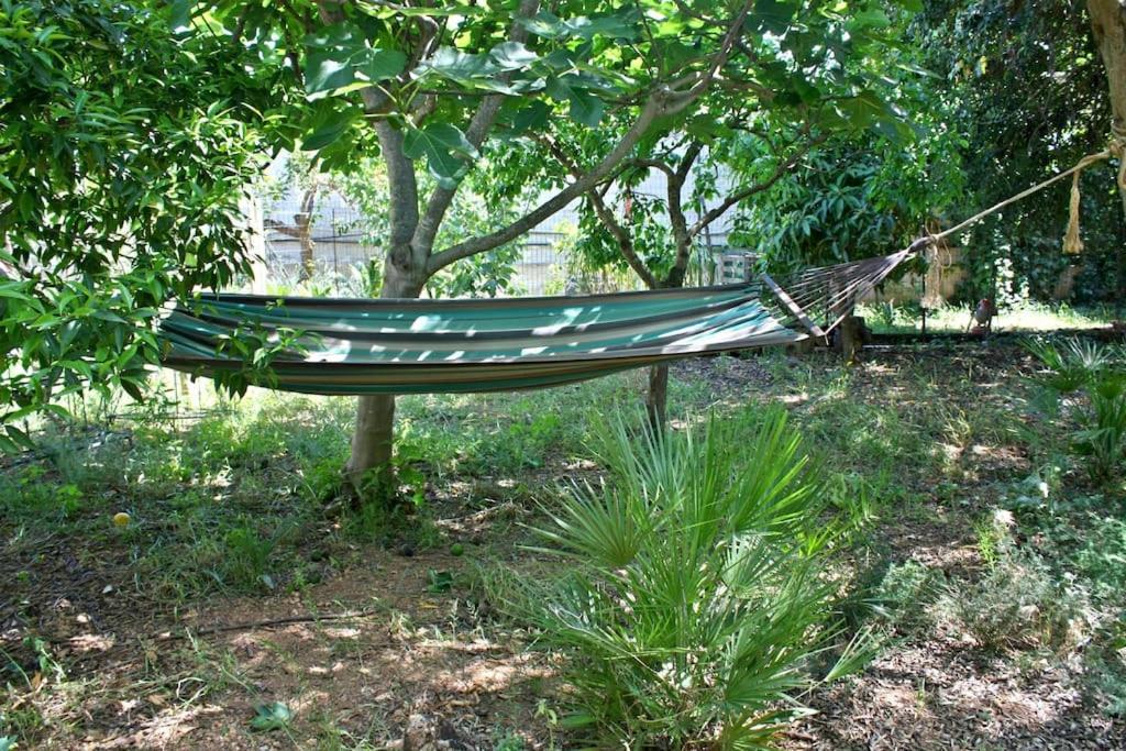 Camera Indipendente Con Bagno Immersa Nel Verde باغيريا المظهر الخارجي الصورة