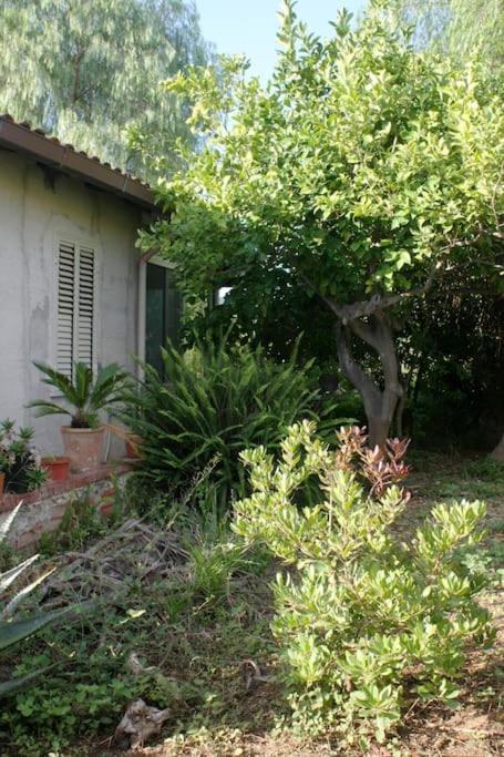 Camera Indipendente Con Bagno Immersa Nel Verde باغيريا المظهر الخارجي الصورة